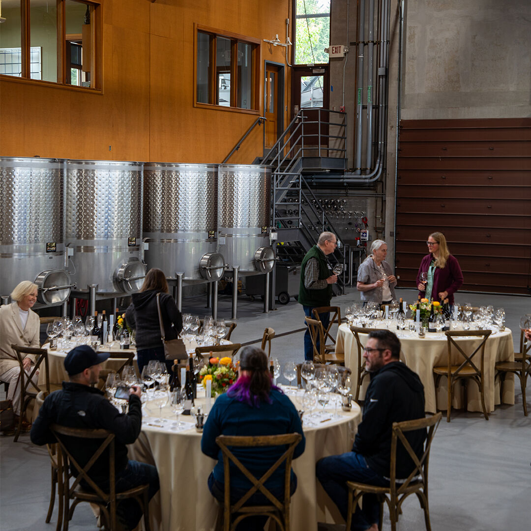 People in wine cellar